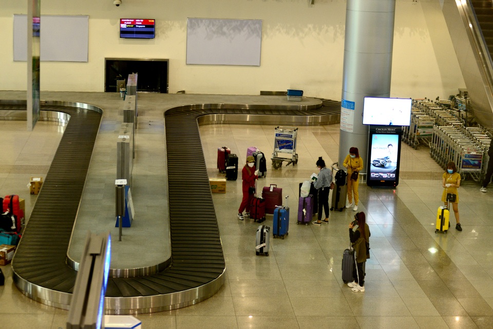 Việt kiều về nước tránh dịch- Copy.jpg