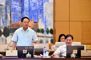 Không hạn chế quyền nhập cảnh của người Việt dù phạm pháp, mất năng lực