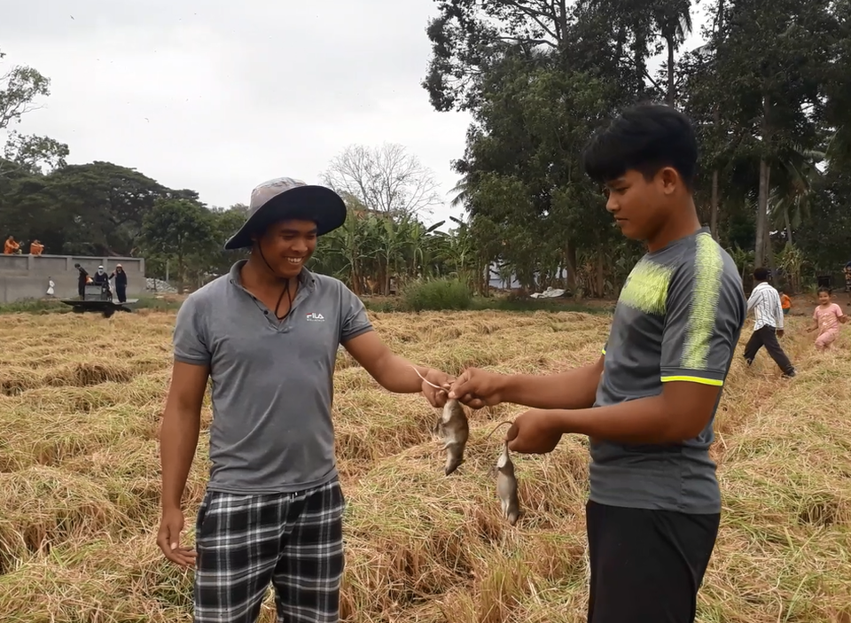Cà Mau: Nhộn nhịp cảnh bắt chuột đồng trước thềm năm ông Tý - 7 Cà Mau: Nhộn nhịp cảnh bắt chuột đồng trước thềm năm ông Tý - 7
