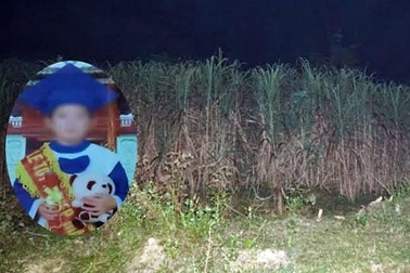 Chứng hoang tưởng khiến người mẹ kế sát hại bé trai 6 tuổi?