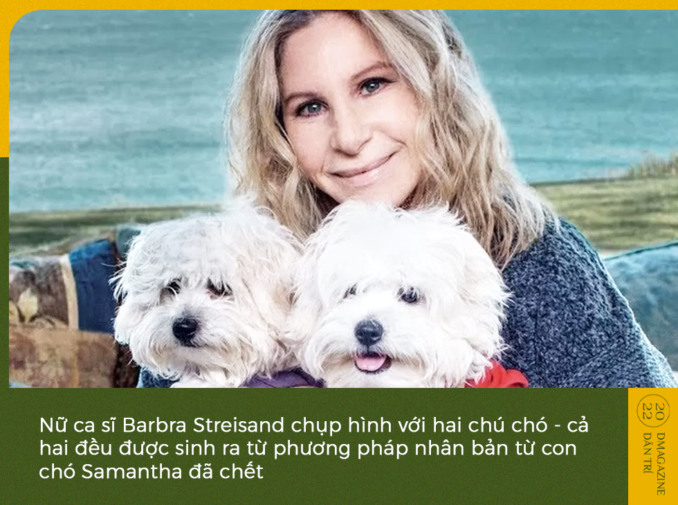 Phép màu cứu rỗi sinh vật bên bờ tuyệt chủng và tranh cãi của khoa học - 12 Phép màu cứu rỗi sinh vật bên bờ tuyệt chủng và tranh cãi của khoa học - 12