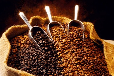 Yêu cầu thực hiện phá sản 1 công ty con của Vinacafe