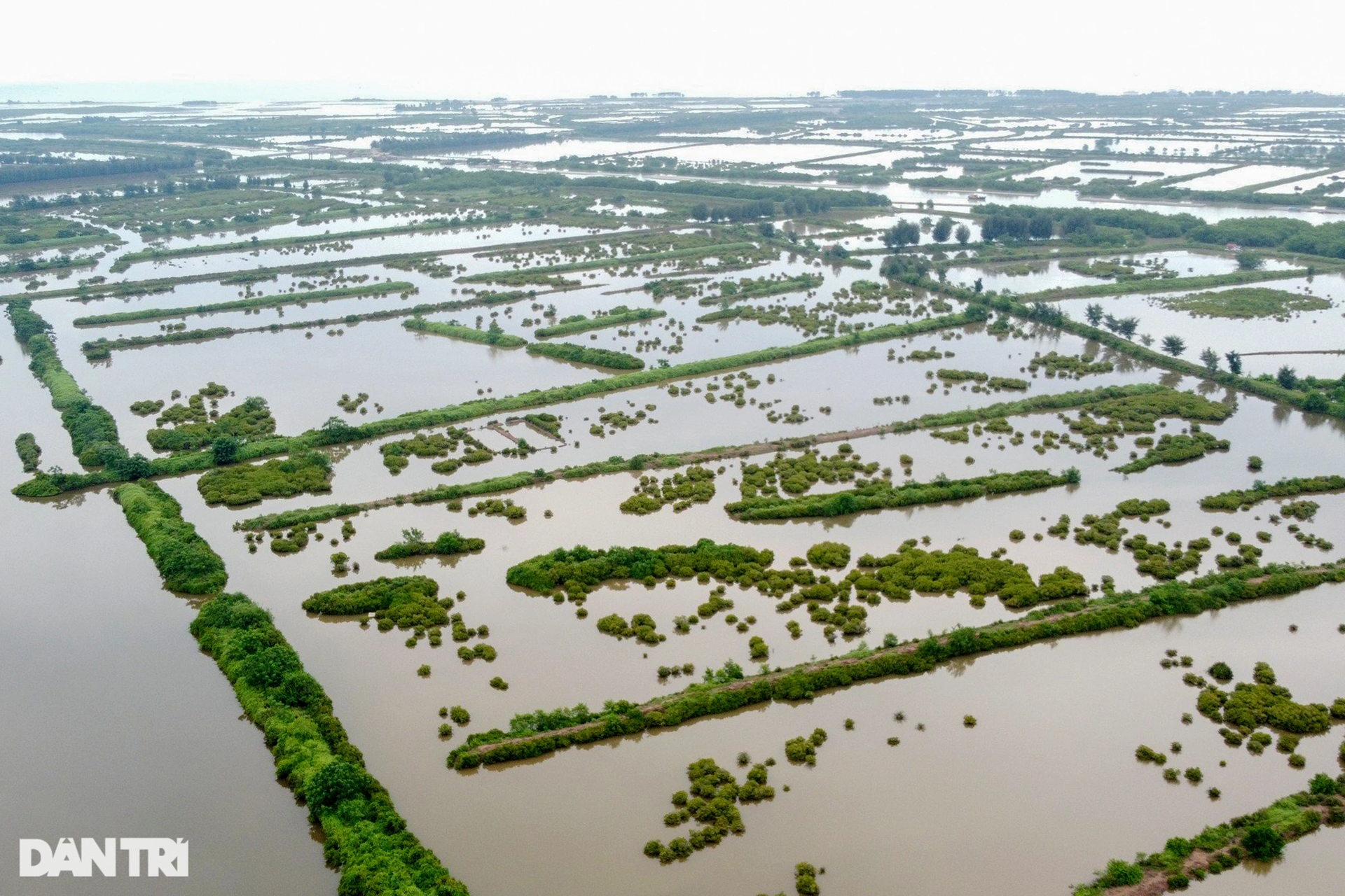 Ngắm khu bảo tồn thiên nhiên có thể bị thu hẹp để xây đô thị, sân golf - 6