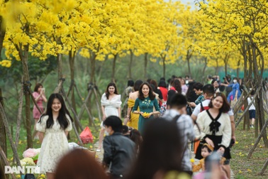 Lo "vỡ trận" phòng dịch vì hàng nghìn người đổ về con đường hoa vàng Hà Nội