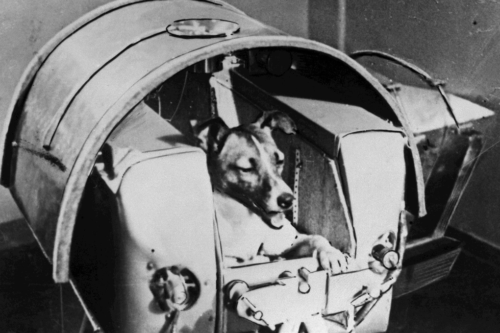 Laika – The First Dog to Journey into Space