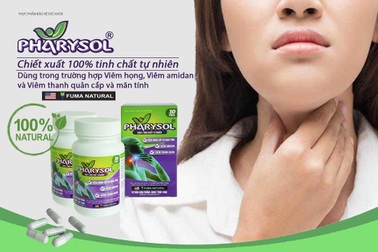 Pharysol - Hỗ trợ viêm amidan mãn tính không cần cắt