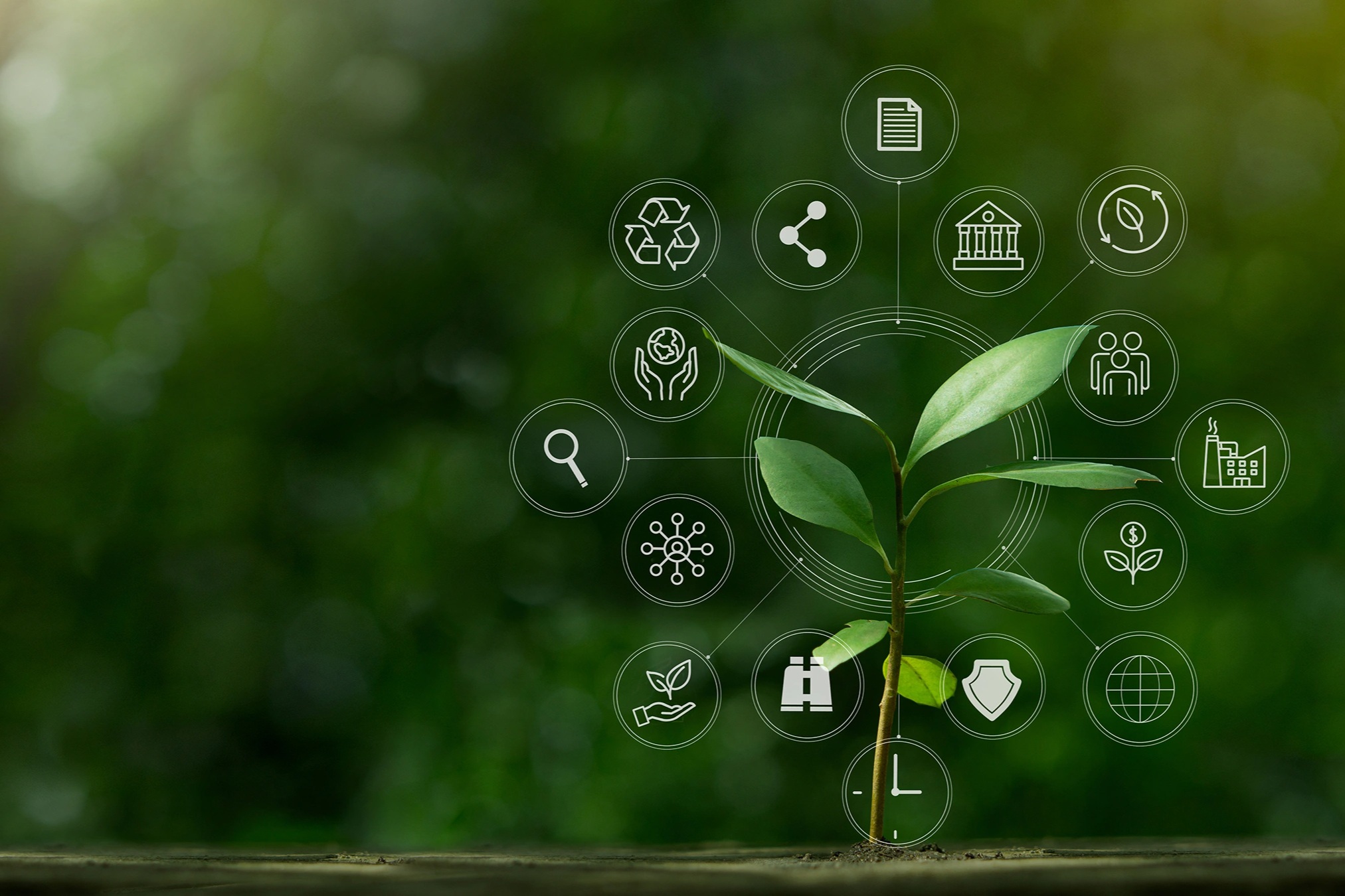 ESG không còn là món trang sức mà đã trở thành bài toán sống còn - 3 ESG không còn là món trang sức mà đã trở thành bài toán sống còn - 3
