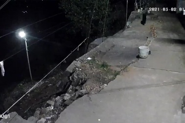 Những hình ảnh báo đen rình bắt chó nhà được ghi lại qua camera