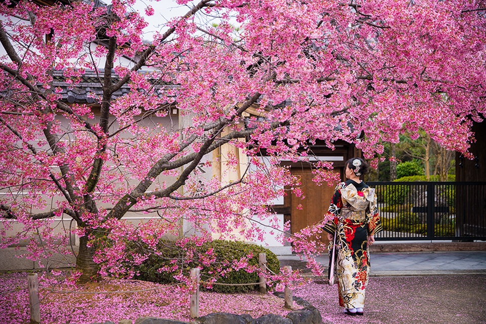 Kimono - Nét đẹp truyền thống của đất nước Nhật Bản - 1 Kimono - Nét đẹp truyền thống của đất nước Nhật Bản - 1
