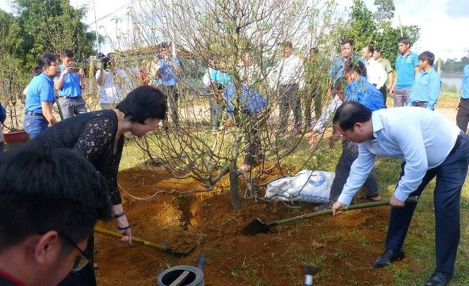 Bình Định trồng vườn hoa anh đào 1.000 cây do Nhật Bản tặng - 1 Bình Định trồng vườn hoa anh đào 1.000 cây do Nhật Bản tặng - 1