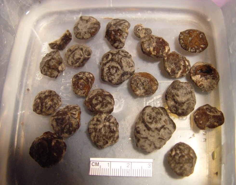 Hé lộ bất ngờ việc phục dựng chân dung cô gái người Việt cách đây 2000 năm - 7 Hé lộ bất ngờ việc phục dựng chân dung cô gái người Việt cách đây 2000 năm - 7