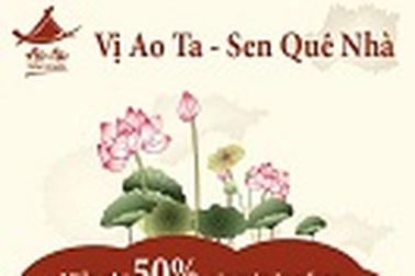 Hương sen thắm đượm tình quê