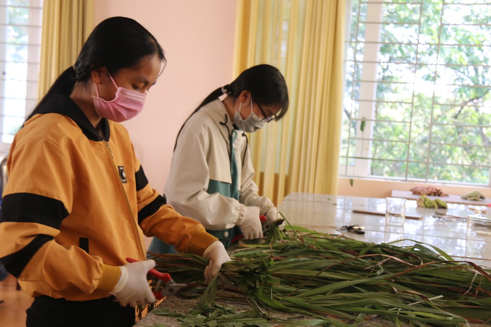 Hai nữ sinh lớp 11 chế dung dịch sát khuẩn từ loại cây mọc dại - 2 Hai nữ sinh lớp 11 chế dung dịch sát khuẩn từ loại cây mọc dại - 2
