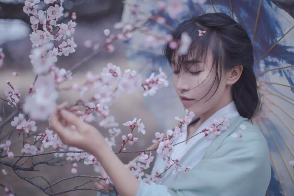 Cái khó của Lý Tử Thất sau vụ kiện ồn ào với công ty quản lý - 2 Cái khó của Lý Tử Thất sau vụ kiện ồn ào với công ty quản lý - 2