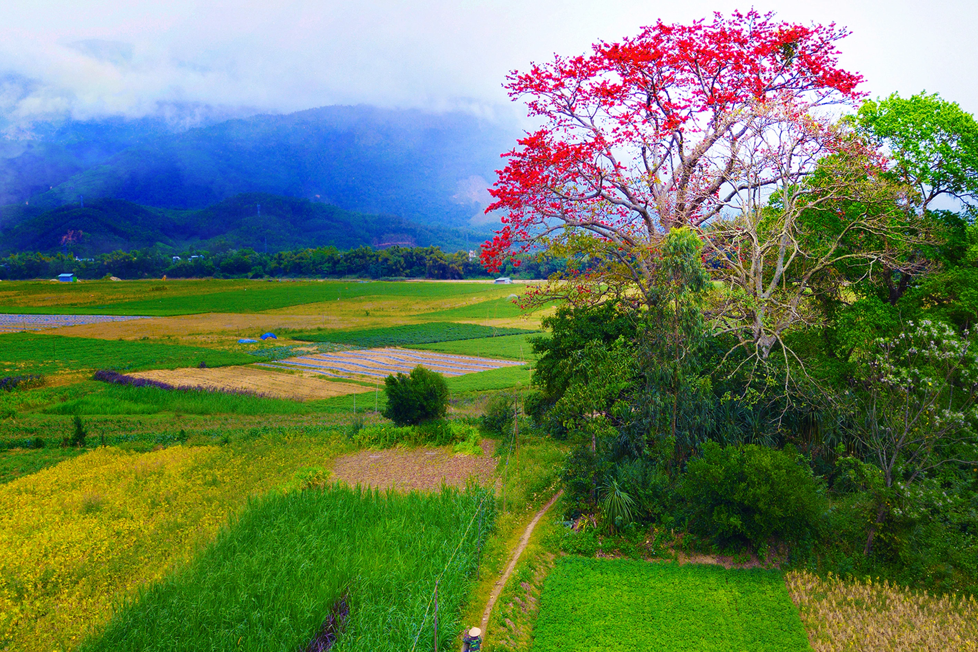 Green-tourist-sites-o-xu-quang_congbinh 5