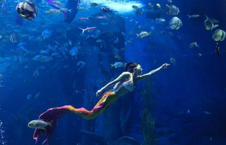Đổ xô đi học làm tiên cá, hóa mỹ nhân ngư đẹp như phim - 3