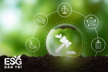 Hướng tới một tương lai bền vững: Việt Nam quyết tâm hành động