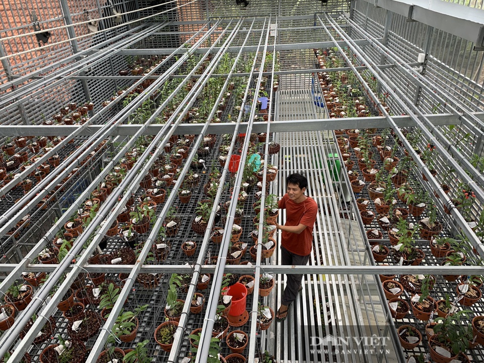 Vườn trồng toàn lan đột biến trị giá hơn 60 tỷ đồng ở Cần Thơ - 1 Vườn trồng toàn lan đột biến trị giá hơn 60 tỷ đồng ở Cần Thơ - 1