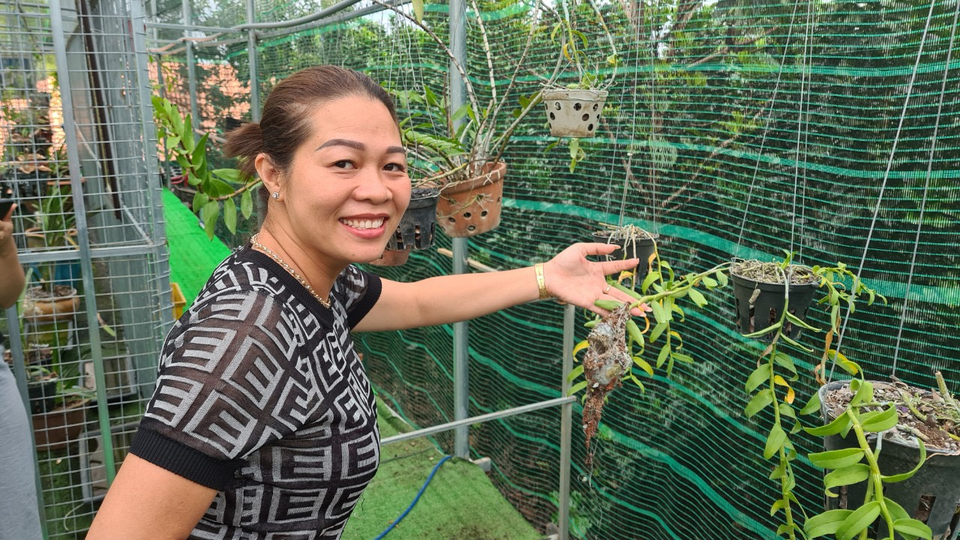 Nghệ nhân hoa lan Bạch Thị Trâm Anh chia sẻ cách chăm sóc cây con an toàn, hiệu quả - 2 Nghệ nhân hoa lan Bạch Thị Trâm Anh chia sẻ cách chăm sóc cây con an toàn, hiệu quả - 2