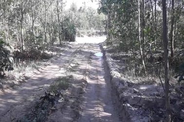 Bình Định: Bất lực nhìn “cát tặc” lộng hành?