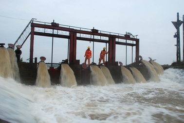 Ưu tiên đảm bảo cung ứng điện phục vụ bơm tưới nước vụ Đông Xuân năm 2018-201919