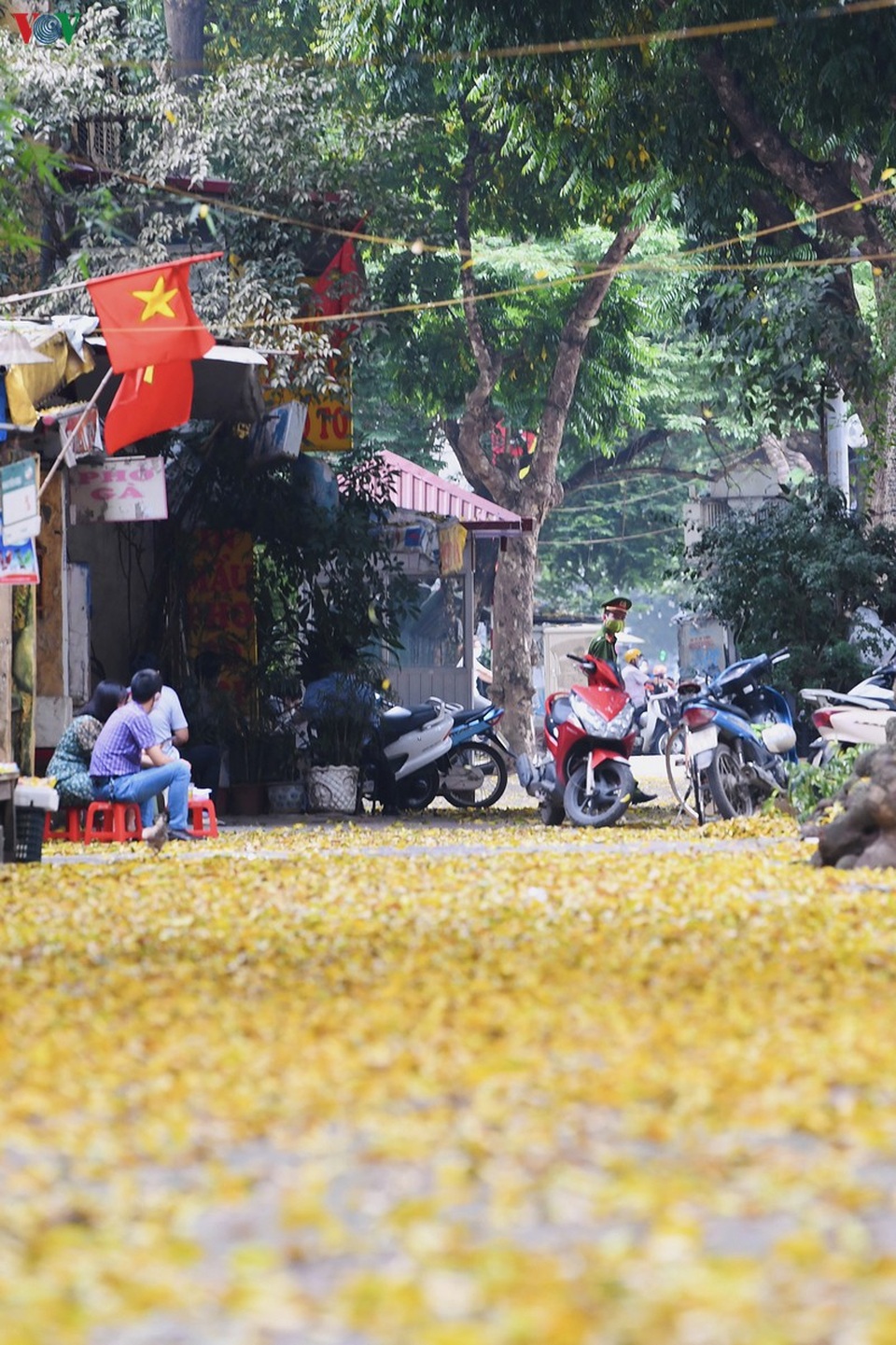 Phố phường Hà Nội đẹp nao lòng mùa sấu trút lá vàng - 6 Phố phường Hà Nội đẹp nao lòng mùa sấu trút lá vàng - 6