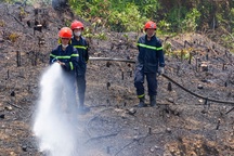 Cháy đồi ở Đà Nẵng nghi do người dân đốt