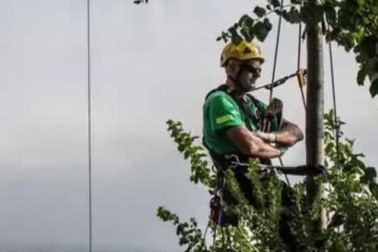 11 ngành có tỷ lệ thất nghiệp thấp nhất ở Mỹ