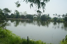 Bài 1: Hô biến đất của người "có công với nước” thành đất… của xã