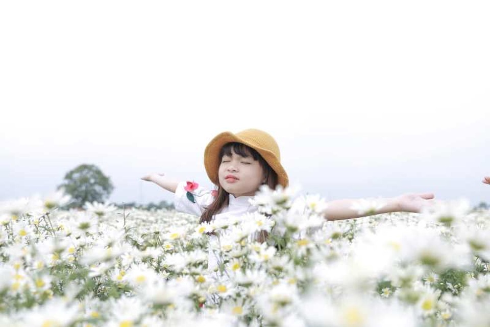 Bạn trẻ đổ xô đến vườn cúc họa mi “độc nhất” Nam Định chụp ảnh - 9