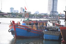 Yêu cầu các tỉnh từ Ninh Bình đến Huế cấm biển trước 17h