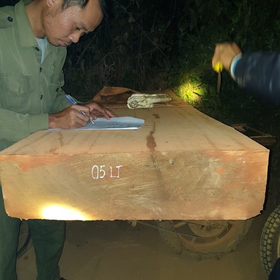 Tiếp tục phát hiện đoàn lâm tặc “lộng hành” vận chuyển gỗ trong đêm - 1 Tiếp tục phát hiện đoàn lâm tặc “lộng hành” vận chuyển gỗ trong đêm - 1