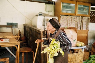 Bí mật hòn đảo toàn người trường thọ, 100 tuổi vẫn chăm chỉ lao động