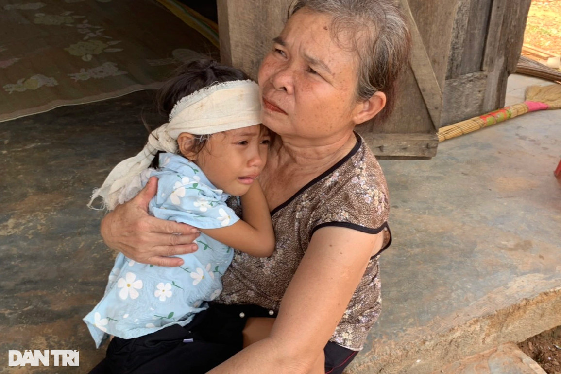 Mẹ vừa qua đời, bố tự vẫn theo, hai con nhỏ ngơ ngác giữa cuộc đời - 9 Mẹ vừa qua đời, bố tự vẫn theo, hai con nhỏ ngơ ngác giữa cuộc đời - 9