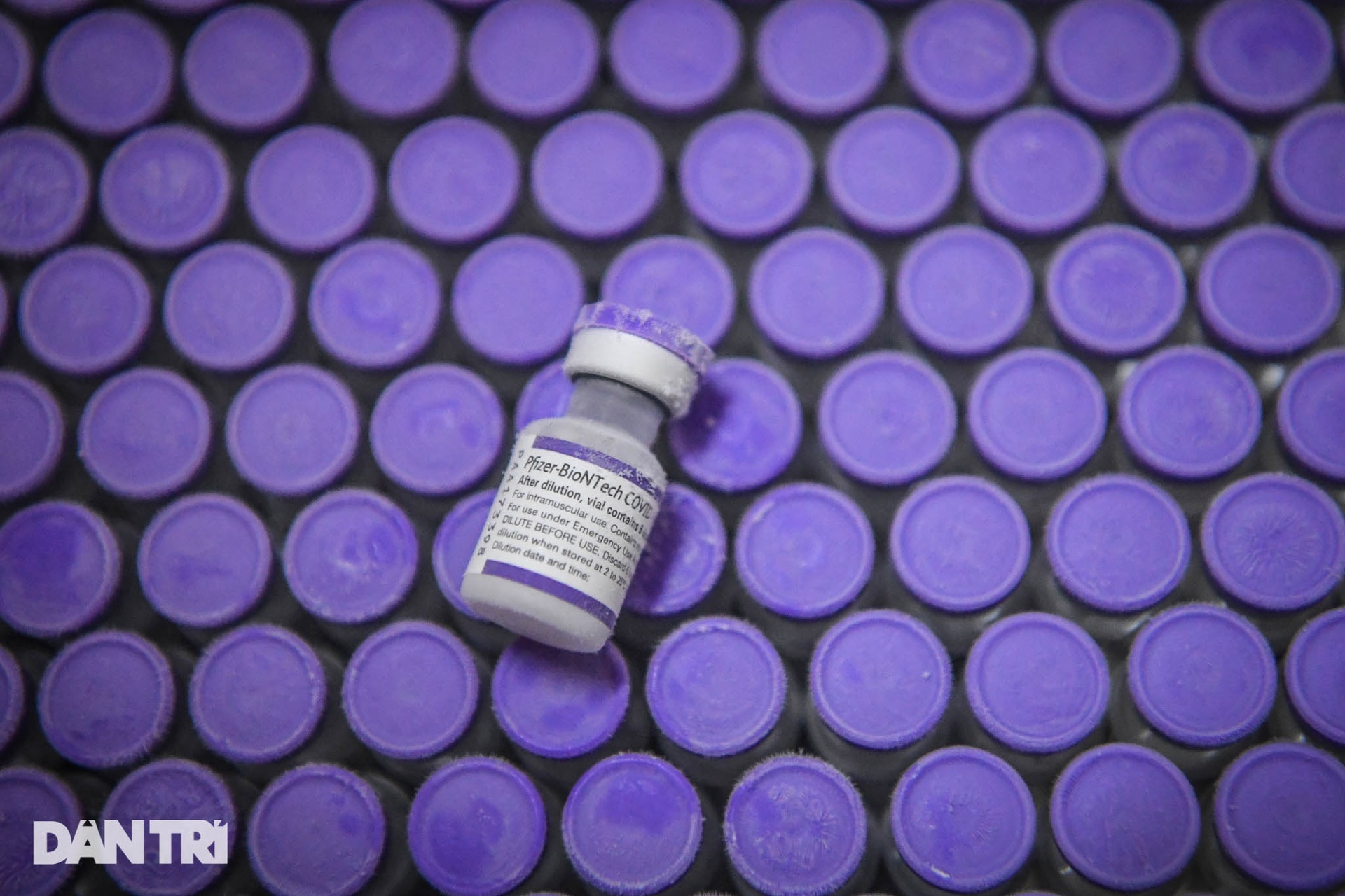 Bộ Y tế tiếp nhận 77 tủ lạnh âm sâu bảo quản vaccine Covid-19 từ Hoa Kỳ - 11 Bộ Y tế tiếp nhận 77 tủ lạnh âm sâu bảo quản vaccine Covid-19 từ Hoa Kỳ - 11