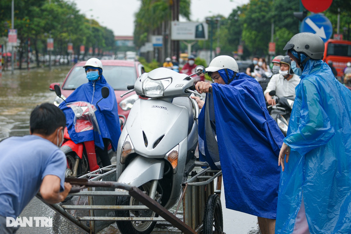 Hà Nội phố cũng như sông, dịch vụ chở người bằng xe bò kiếm bộn tiền - 6 Hà Nội phố cũng như sông, dịch vụ chở người bằng xe bò kiếm bộn tiền - 6