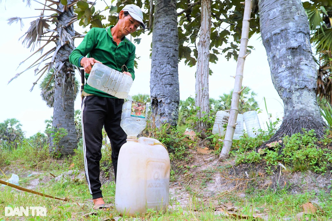 Về An Giang xem nghề ăn cơm dưới đất làm việc trên... trời - 10 Về An Giang xem nghề ăn cơm dưới đất làm việc trên... trời - 10