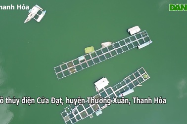 Những người làm "bảo mẫu" trên lòng hồ thủy lợi