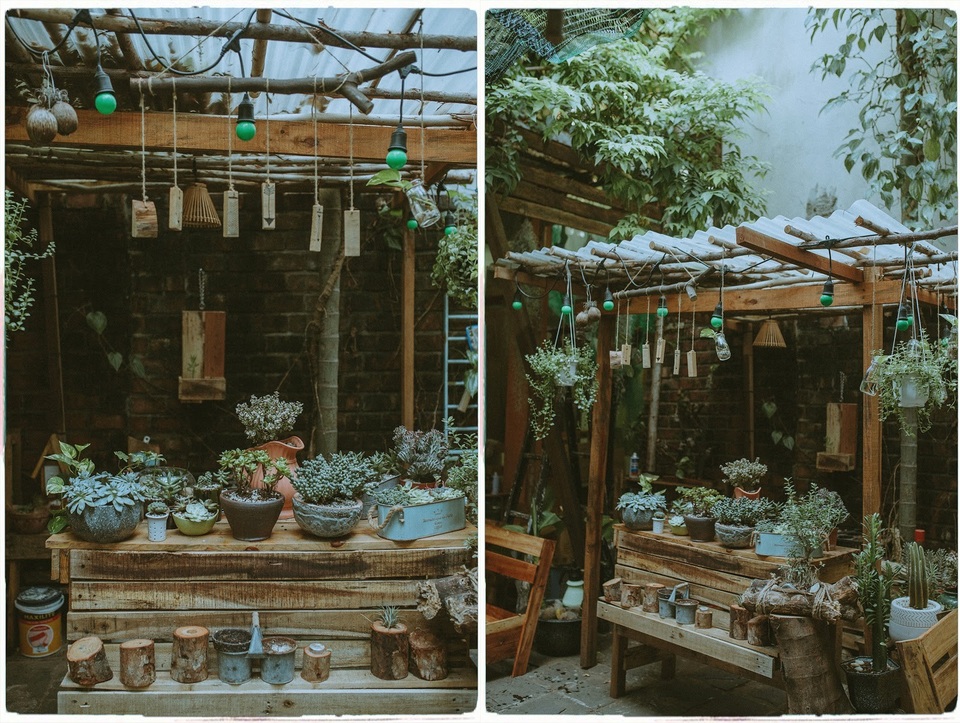 Quán cà phê chữa lành tâm hồn ở Đà Nẵng, khách trả tiền theo sự hài lòng - 4 Quán cà phê chữa lành tâm hồn ở Đà Nẵng, khách trả tiền theo sự hài lòng - 4