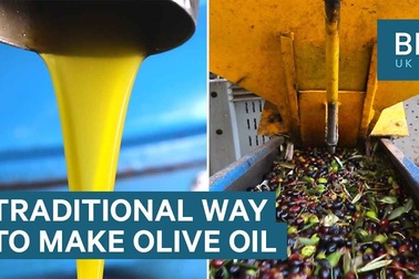 Cách chế biến dầu olive