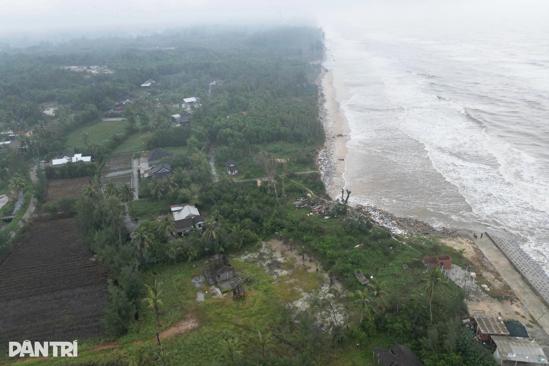 Rừng phòng hộ biến mất, sóng biển đe dọa khu dân cư - 11