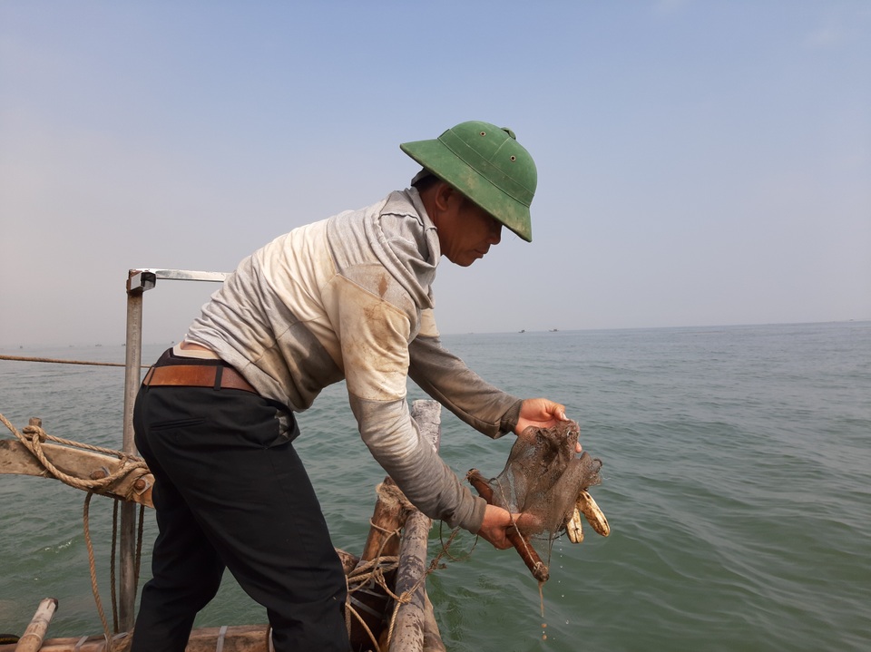 Ngư dân xứ Thanh trúng đậm lộc biển những ngày cuối năm - 5 Ngư dân xứ Thanh trúng đậm lộc biển những ngày cuối năm - 5