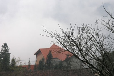 Đào Tết Sa Pa khan hiếm vì giá rét kéo dài