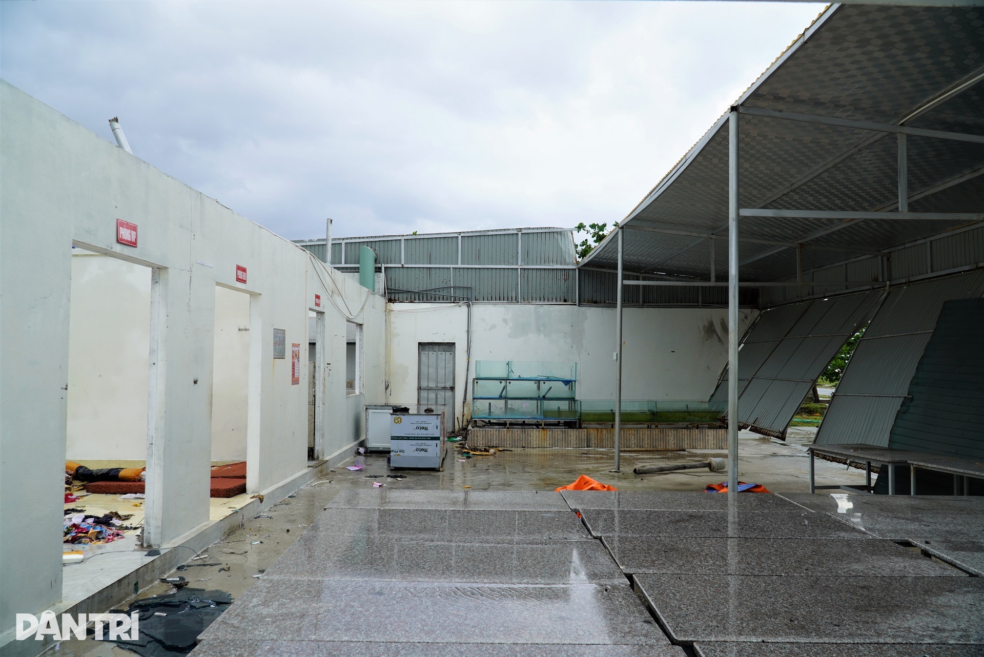 Chưa gượng dậy sau bão số 5, người dân tiếp tục chống đỡ bão Bualoi - 3 Chưa gượng dậy sau bão số 5, người dân tiếp tục chống đỡ bão Bualoi - 3