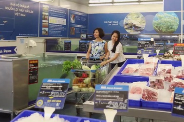 Chiêm ngưỡng 3 trạm trung chuyển của MM Mega Market được đánh giá tốt nhất Việt Nam