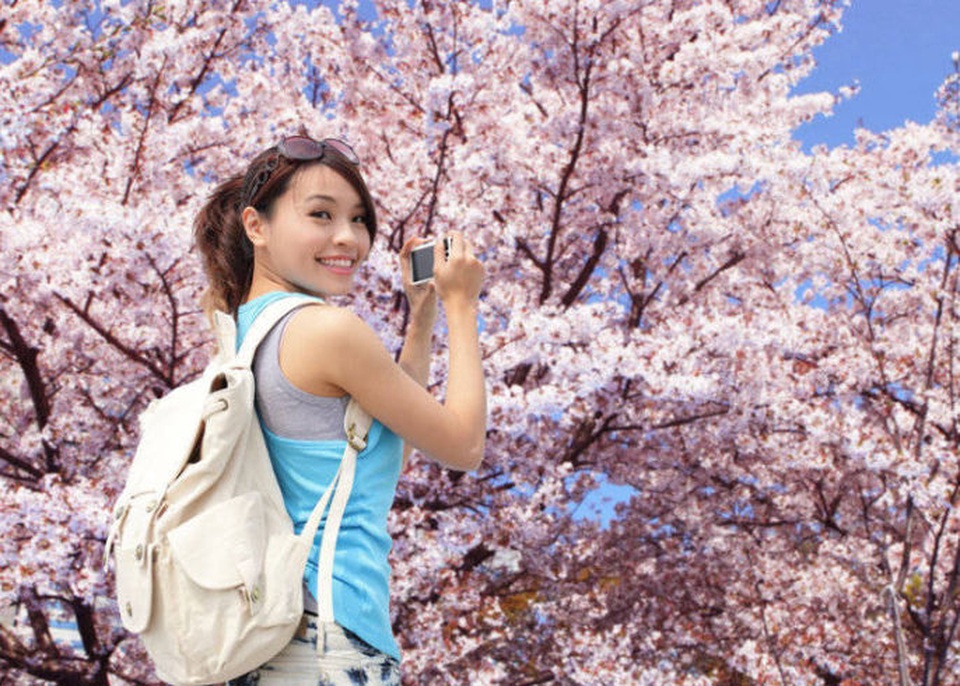 Tuần lễ vàng: Kỳ nghỉ mùa xuân rực rỡ của người dân xứ hoa anh đào - 1 Tuần lễ vàng: Kỳ nghỉ mùa xuân rực rỡ của người dân xứ hoa anh đào - 1