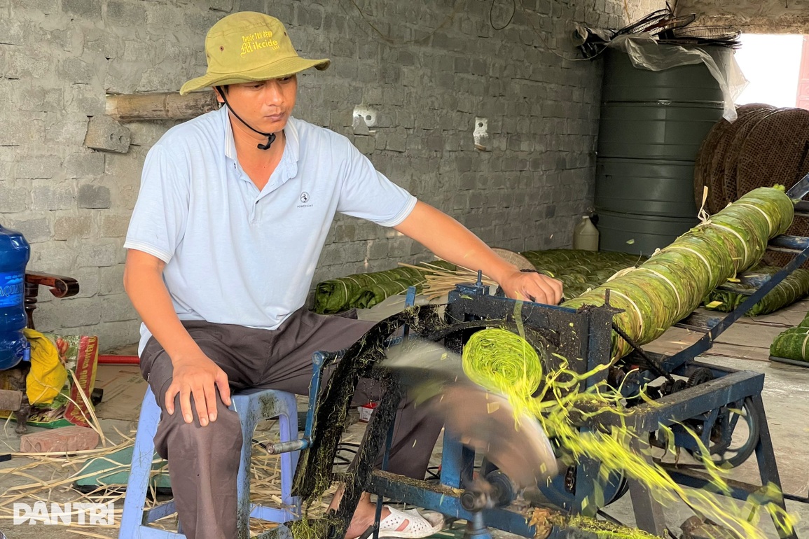 Trồng cây chồng hút vợ say, bỏ túi trăm triệu đồng mỗi vụ - 6 Trồng cây chồng hút vợ say, bỏ túi trăm triệu đồng mỗi vụ - 6
