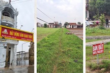 Lão nông bất ngờ thành "tỷ phú" và câu chuyện đất đai khuấy đảo vùng quê