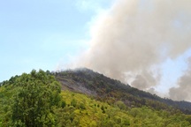 "Bà hoả" thiêu tan hoang hàng chục ha rừng