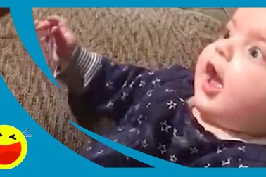 Cảnh nhà có "thánh bắt chước"